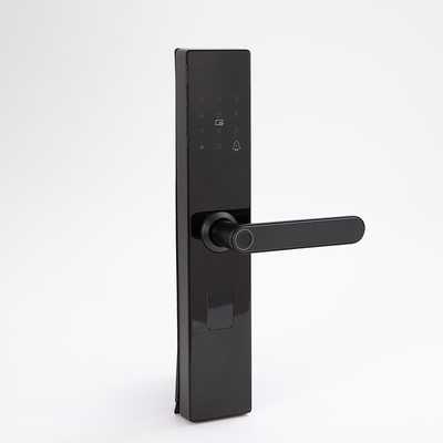 Good price Electronic Fingerprint Smart Door Lock Zinc Alloy Body Door Lock online