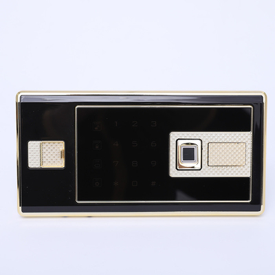 Guter Preis Konsistente Farbe Fingerabdruck-Sicherheitsschloss mit Tastatur-Design Passwort Eingabe Online