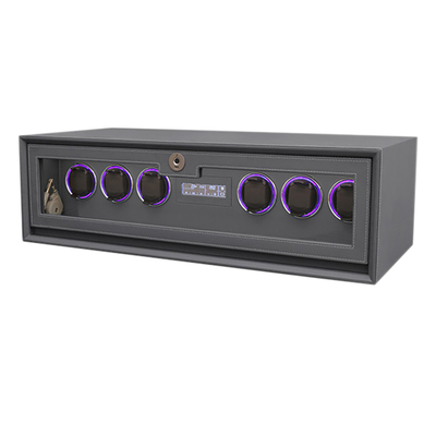 Guter Preis F801A-760 Watch Winder with Fingerprint Security for 20 Users Online